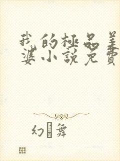 我的极品美女老婆小说免费阅读全文