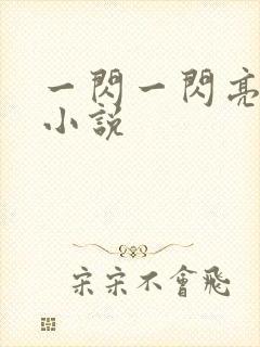 一闪一闪亮星星小说