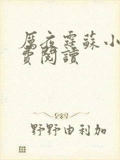 厉夜霆苏小汐免费阅读