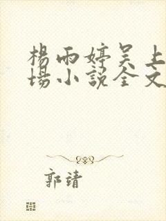 杨雨婷吴上进官场小说全文