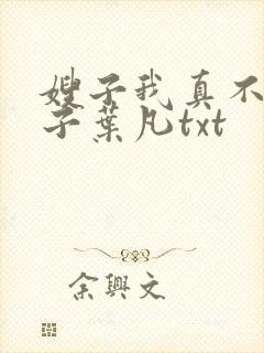 嫂子我真不是傻子叶凡txt封面