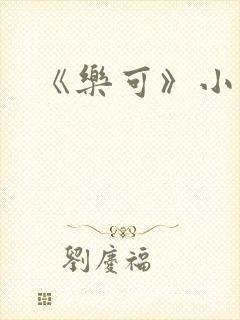 《乐可》小说封面