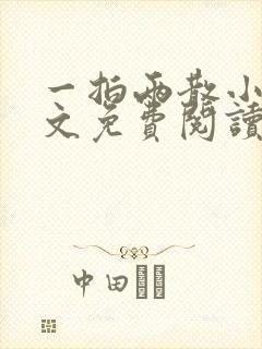 一拍两散小说全文免费阅读