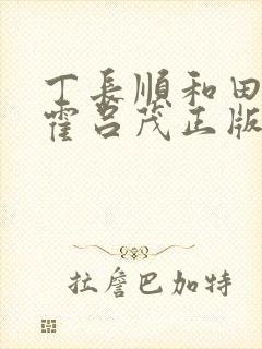 丁长顺和田晓兰霍吕茂正版