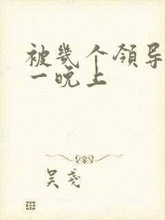 被几个领导玩弄一晚上