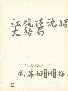 江砚瑾沈昭小说大结局