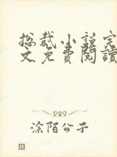 总裁小说完结全文免费阅读全文
