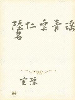 陆仁云青瑶小说名封面