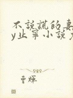 不说谎的妻子by止宁小说免费阅读封面