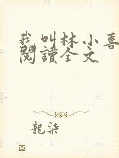 我叫林小喜免费阅读全文