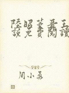 陆昭菱晋王的小说免费阅读