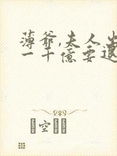 薄爷,夫人出价一千亿要退婚阅读