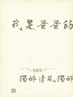 我是爸爸的玩具