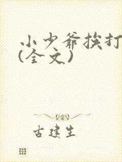 小少爷挨打日常(全文)封面