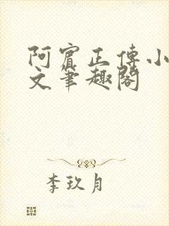 阿宾正传小说全文笔趣阁