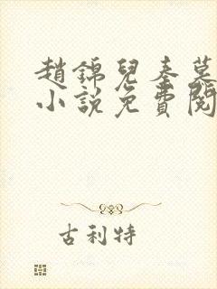 赵锦儿秦慕修的小说免费阅读全文