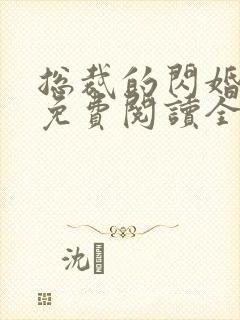 总裁的闪婚新妻免费阅读全文封面