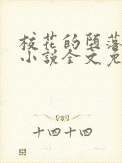 校花的堕落日记小说全文免费阅读