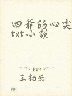四爷的心尖宠妃txt小说