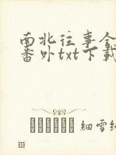 南北往事全文加番外txt下载