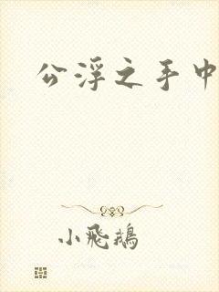 公浮之手中字5