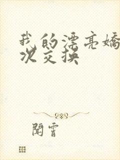 我的漂亮娇妻初次交换