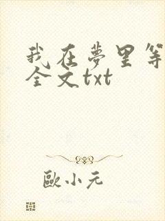 我在梦里等花开全文txt