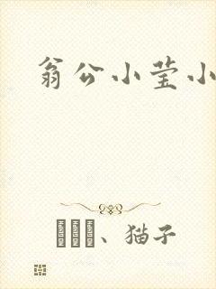 翁公小莹小说