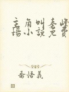 主角叫秦峰的官场小说免费阅读
