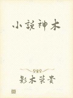 小说神木