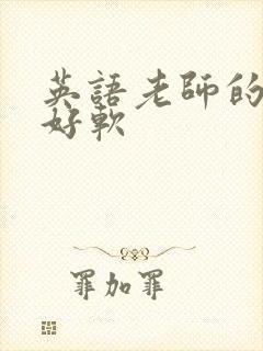 英语老师的兔子好软