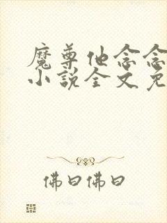 魔尊他念念不忘小说全文免费阅读封面