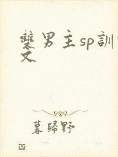 双男主sp训诫文