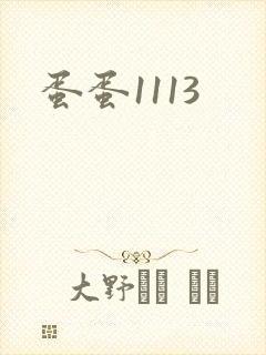 蛋蛋1113