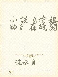 小说《偷娘三部曲》在线阅读全文