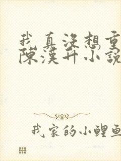 我真没想重生啊陈汉升小说斗