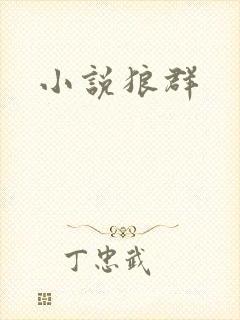 小说狼群