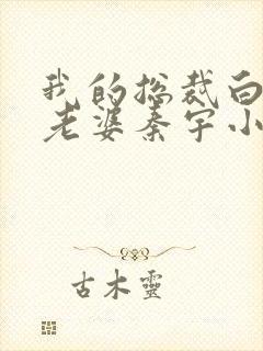 我的总裁白富美老婆秦宇小说正版