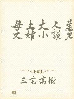 母上大人叶亦苏文婧小说免费阅读
