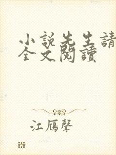 小说先生请温柔全文阅读