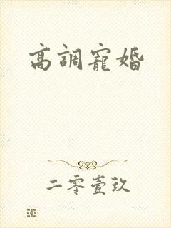 高调宠婚