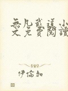 无凡武道小说全文免费阅读封面