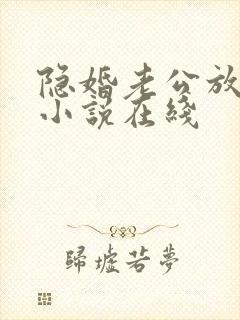 隐婚老公放肆宠小说在线封面