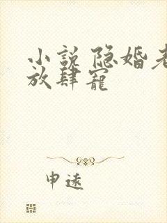小说 隐婚老公放肆宠