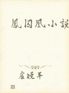 凤囚凰小说