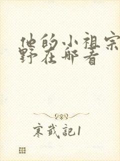他的小祖宗甜又野在哪看