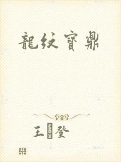 龙纹宝鼎封面