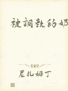 被调教的奶奴封面