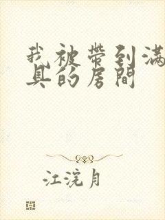 我被带到满是玩具的房间