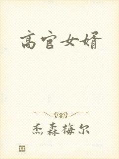 高官女婿封面